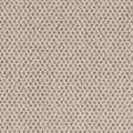 Timeless Effects SmartStrand Carpet - Authentic
