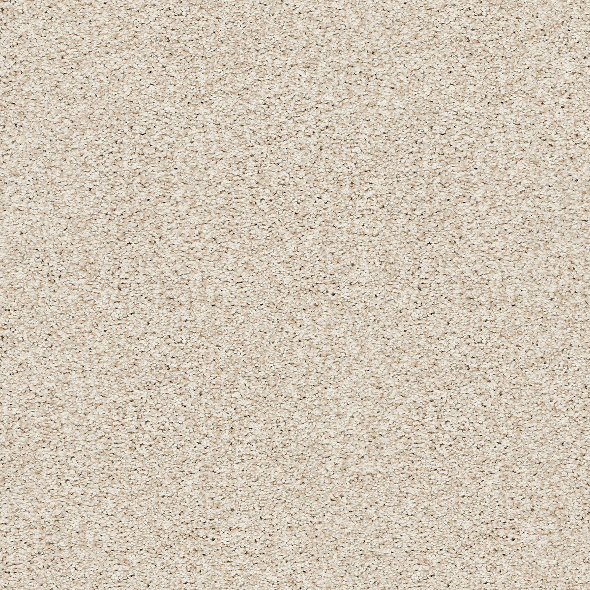 Upscale Elements EverLux Nylon Carpet - Harmony