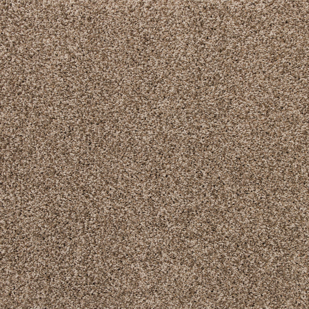 Apollo Bay SmartStrand Carpet - Killala