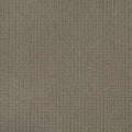 Enduring Statement SmartStrand Carpet - Portobello