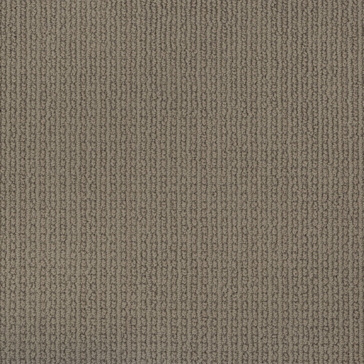 Enduring Statement SmartStrand Carpet - Portobello