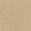 Timeless Effects SmartStrand Carpet - Vista