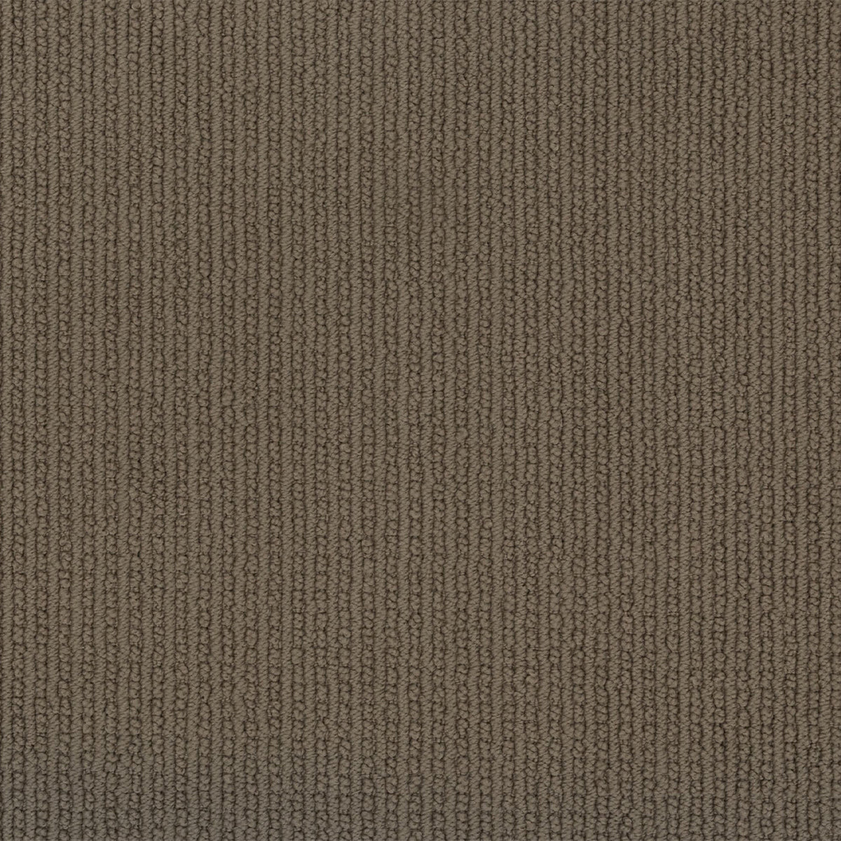 Enduring Statement SmartStrand Carpet - Old Bridge