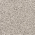 Apollo Bay SmartStrand Carpet - Holzer