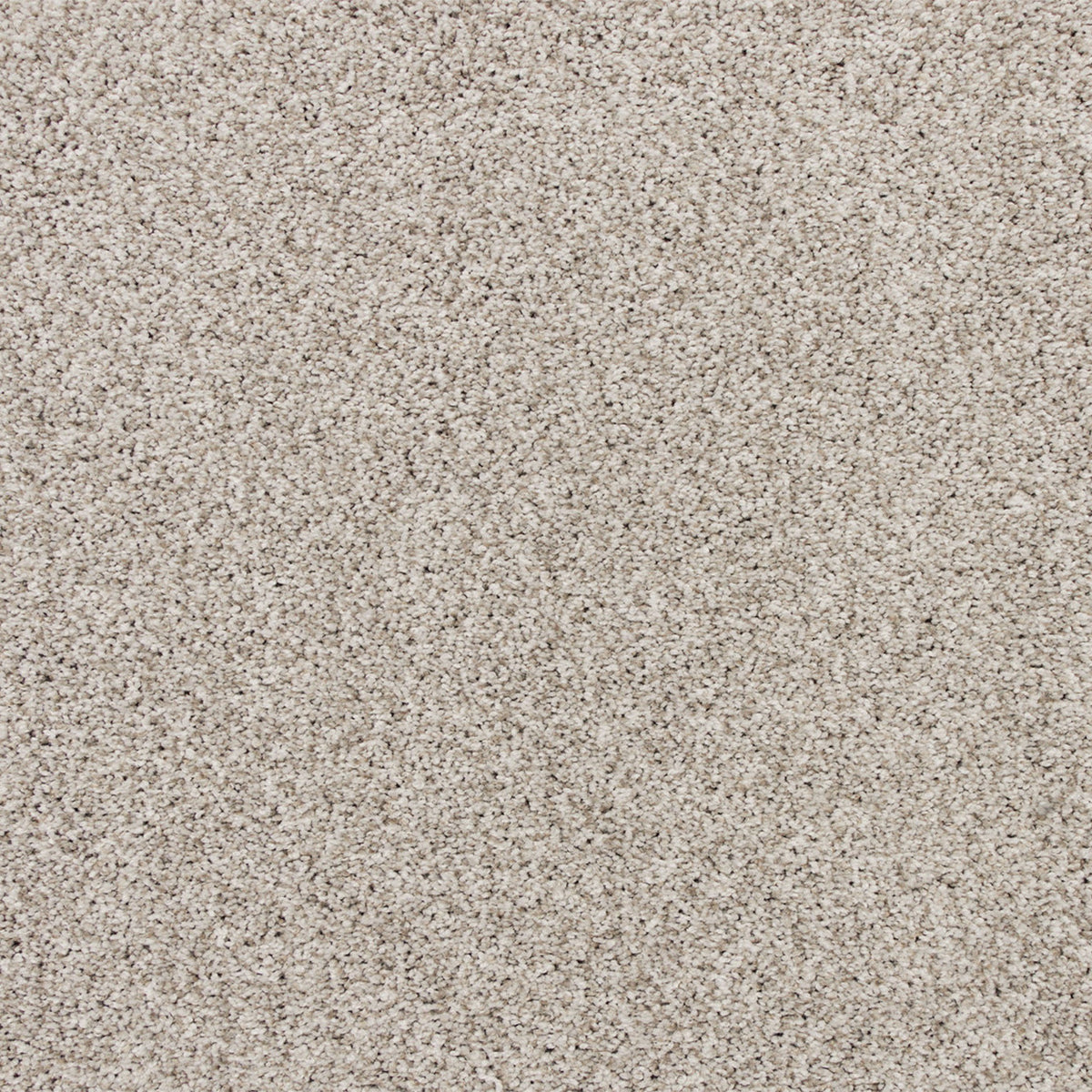 Apollo Bay SmartStrand Carpet - Holzer
