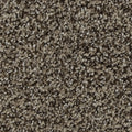 Celestia EverLux Nylon Carpet - Tapestry