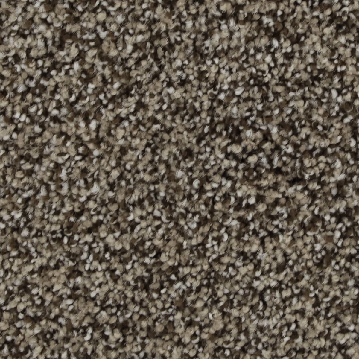 Celestia EverLux Nylon Carpet - Tapestry