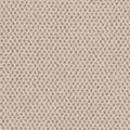 Timeless Effects SmartStrand Carpet - Hive
