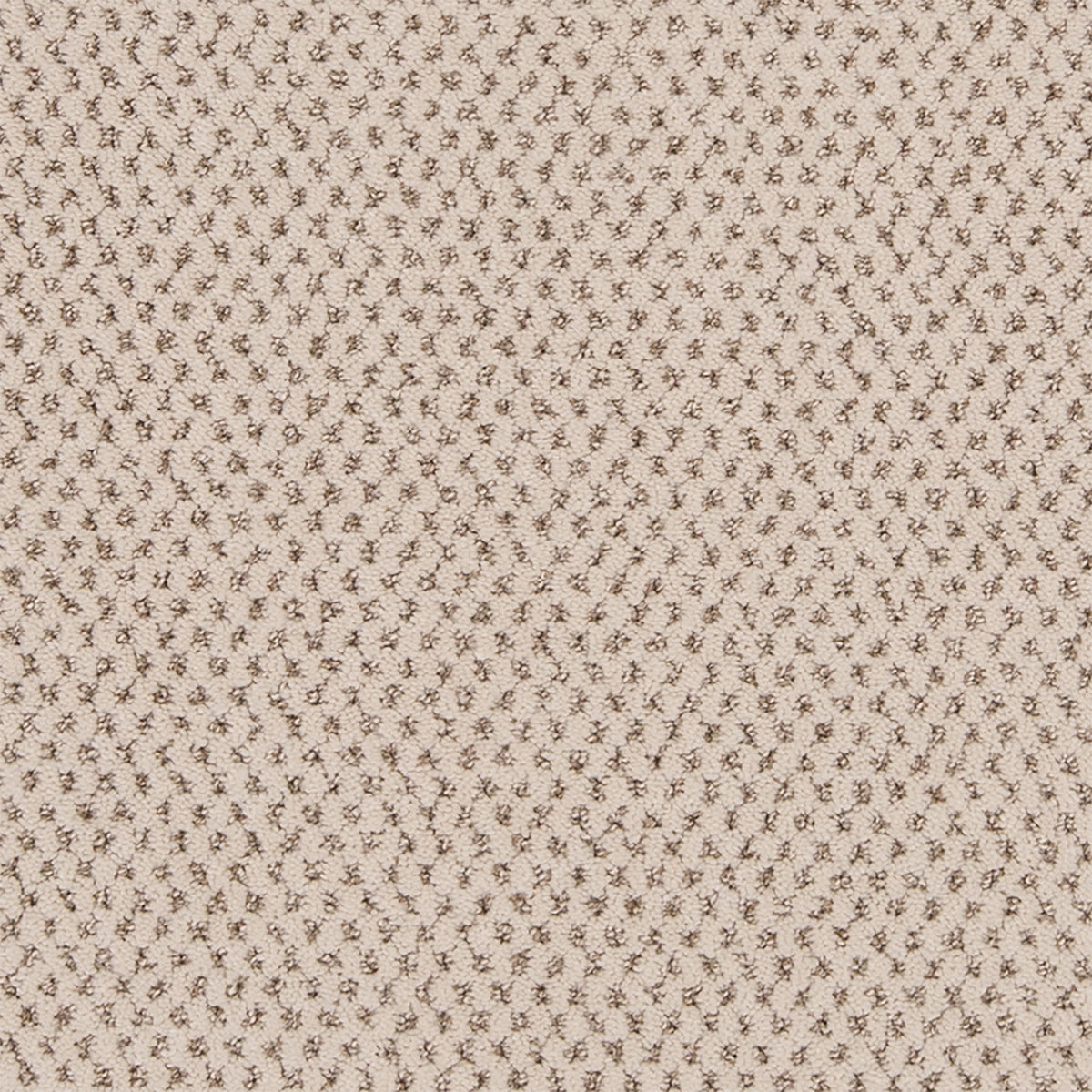 Timeless Effects SmartStrand Carpet - Hive