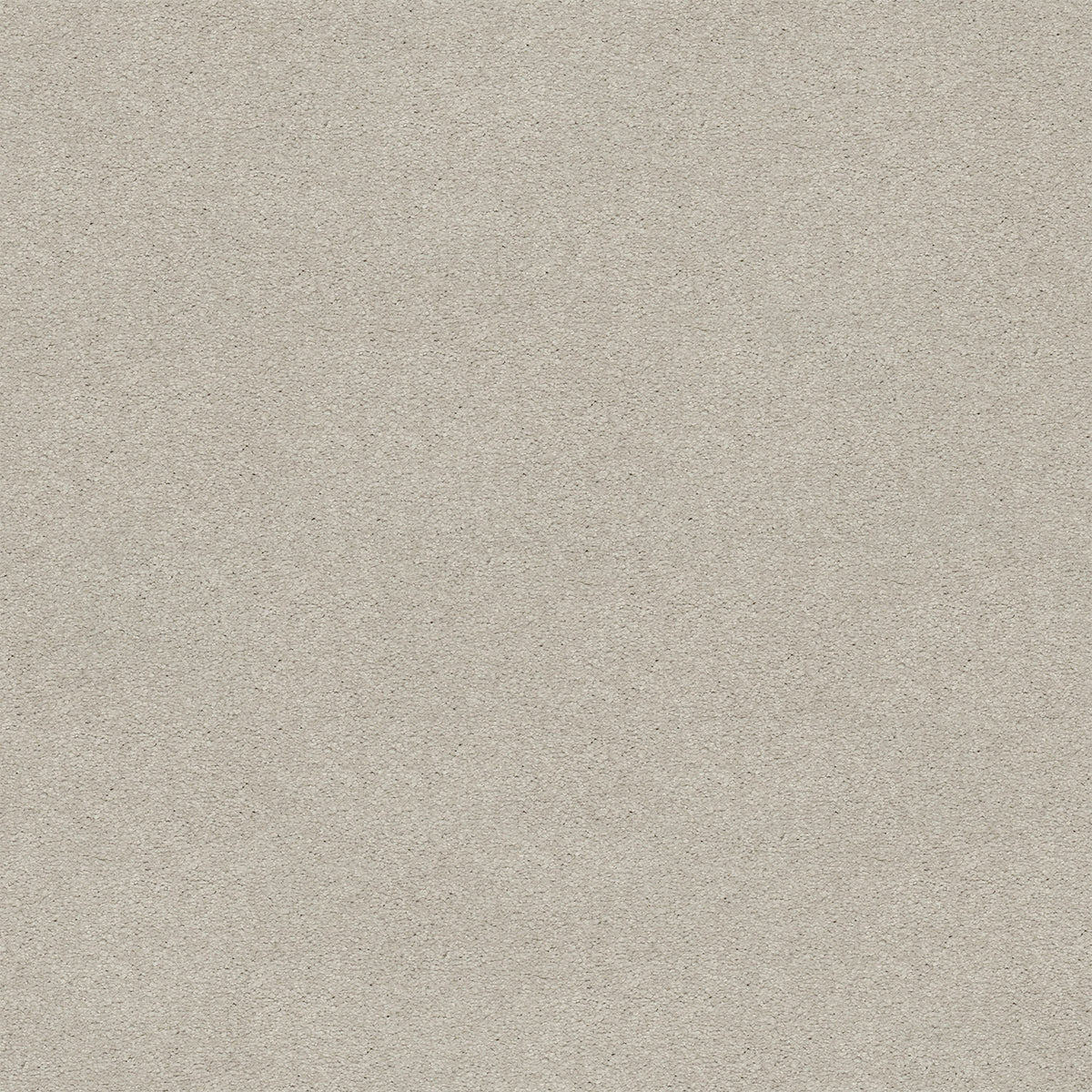 Opulent Tradition EverLux Nylon Carpet - Cannon Smoke