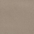 Enduring Statement SmartStrand Carpet - Lighthouse View
