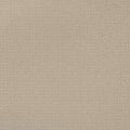 Enduring Statement SmartStrand Carpet - Radiance