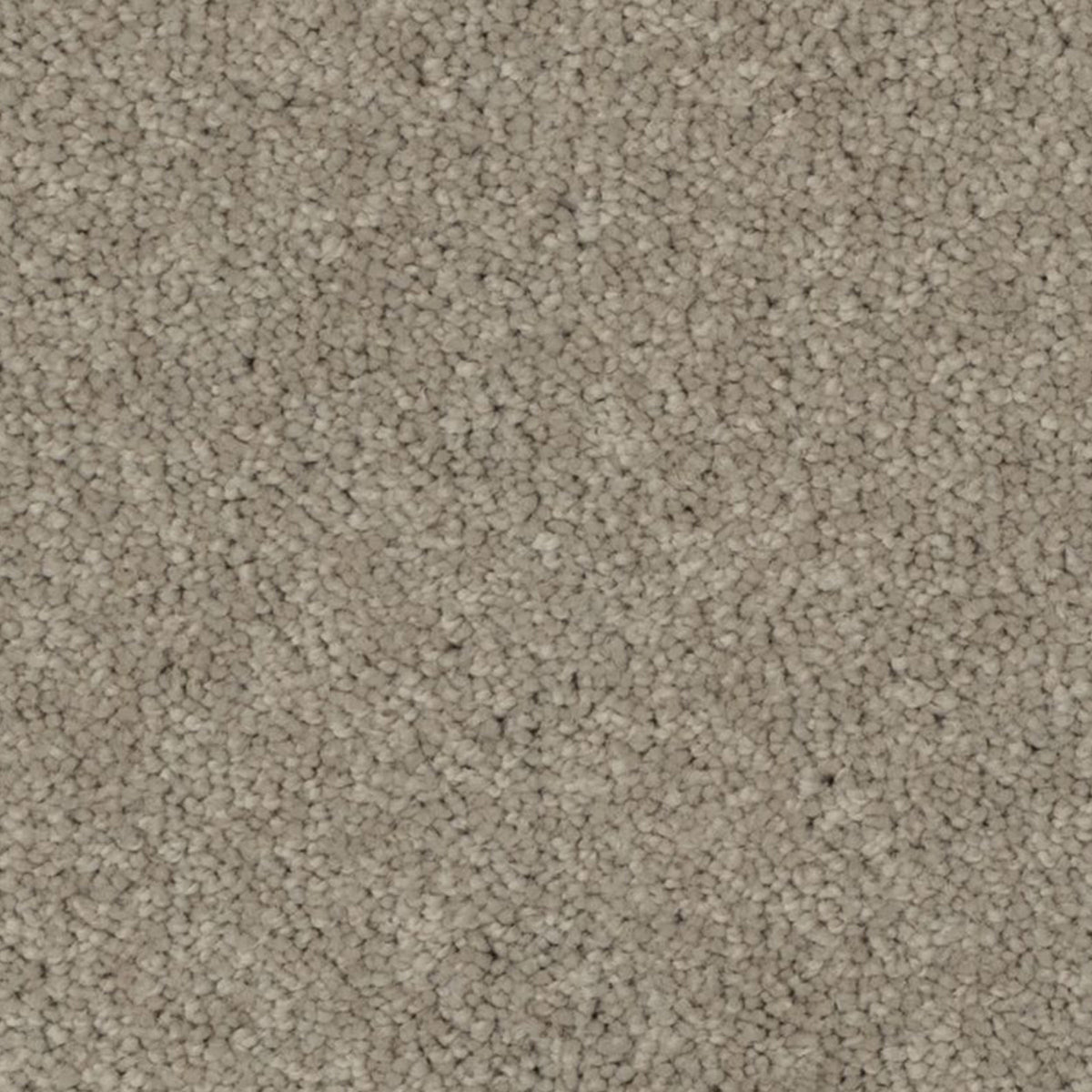 Opulent Collection EverLux Nylon Carpet - Overcast