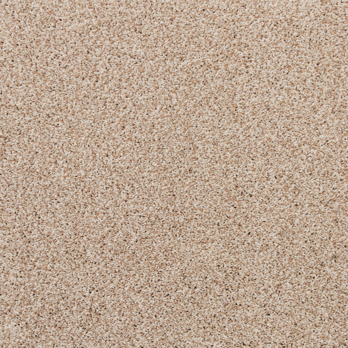 Apollo Bay SmartStrand Carpet - Gambier