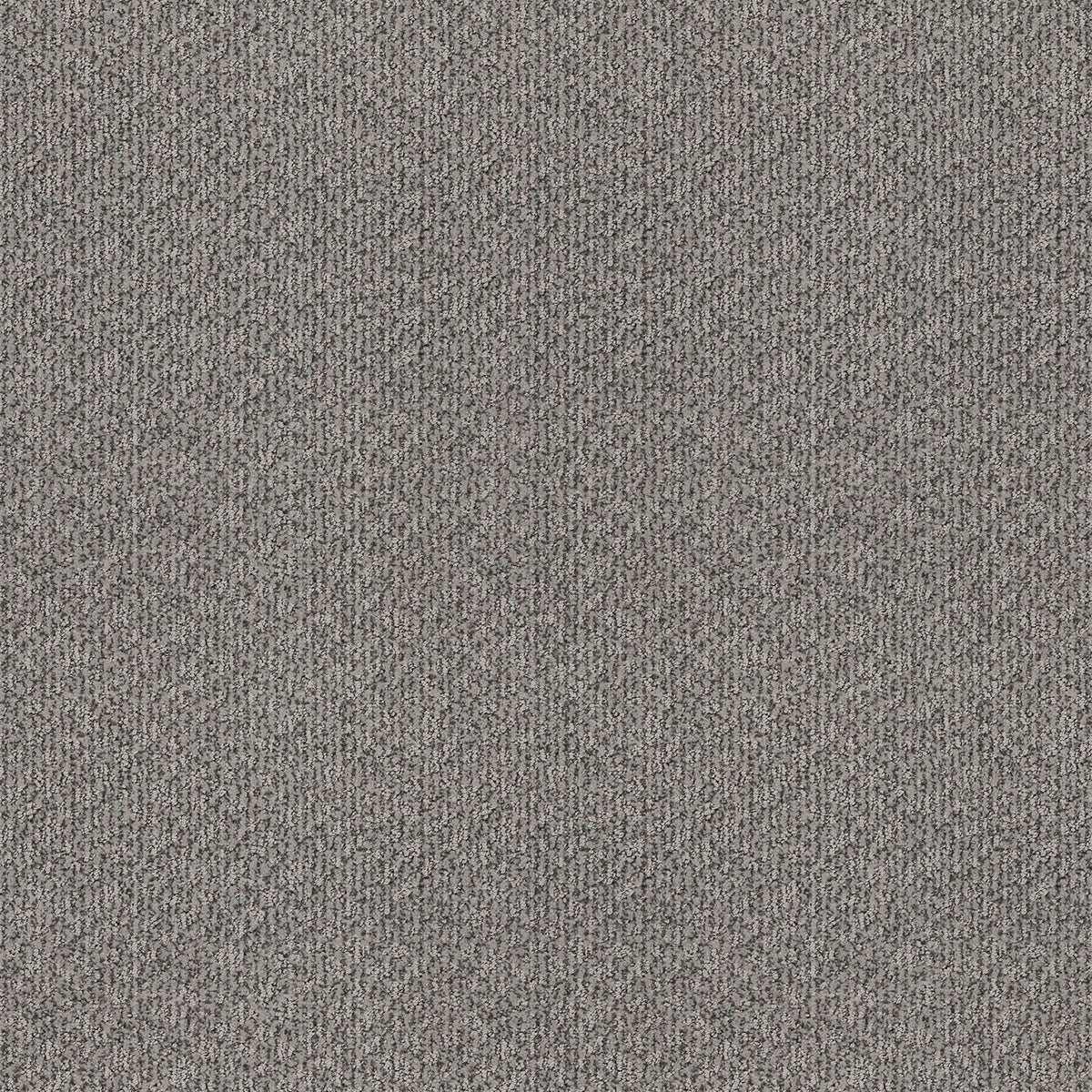 Serene Reflection EverLux Nylon Carpet - Crewelwork
