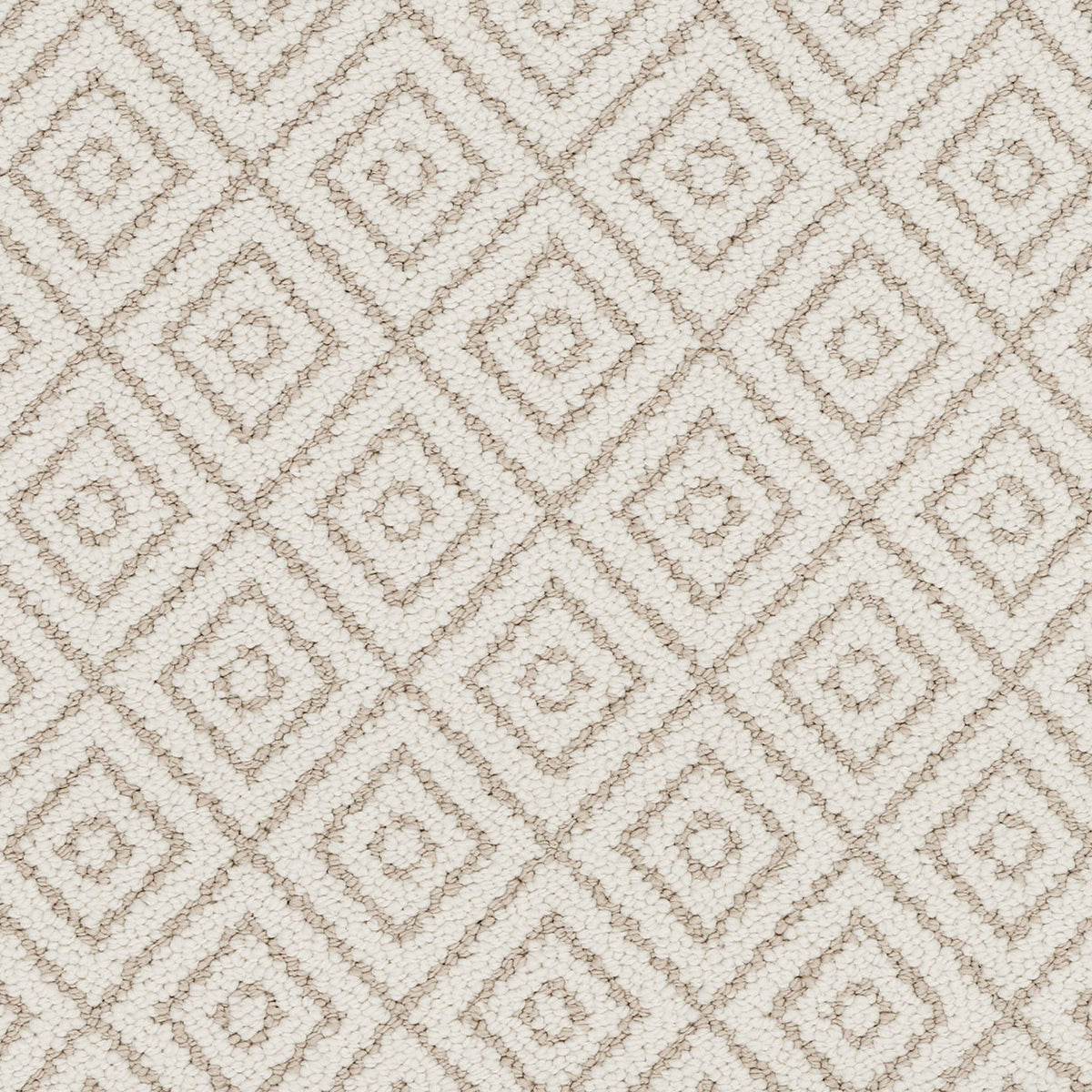 Stunning Opulence EverLux Nylon Carpet - Illuminating