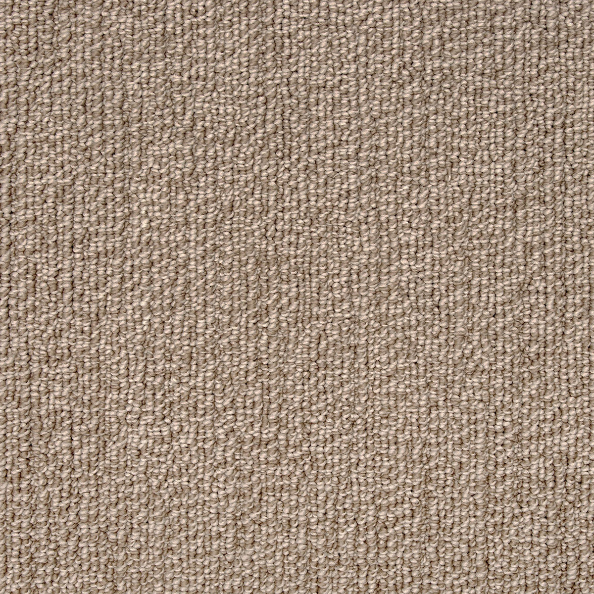 True North EverLux XTRA Carpet - Pike