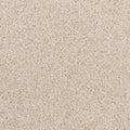 Apollo Bay SmartStrand Carpet - Bustle