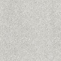 Upscale Elements EverLux Nylon Carpet - Starlet