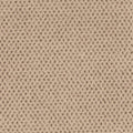 Timeless Effects SmartStrand Carpet - Chic