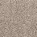 Apollo Bay SmartStrand Carpet - Ghooley
