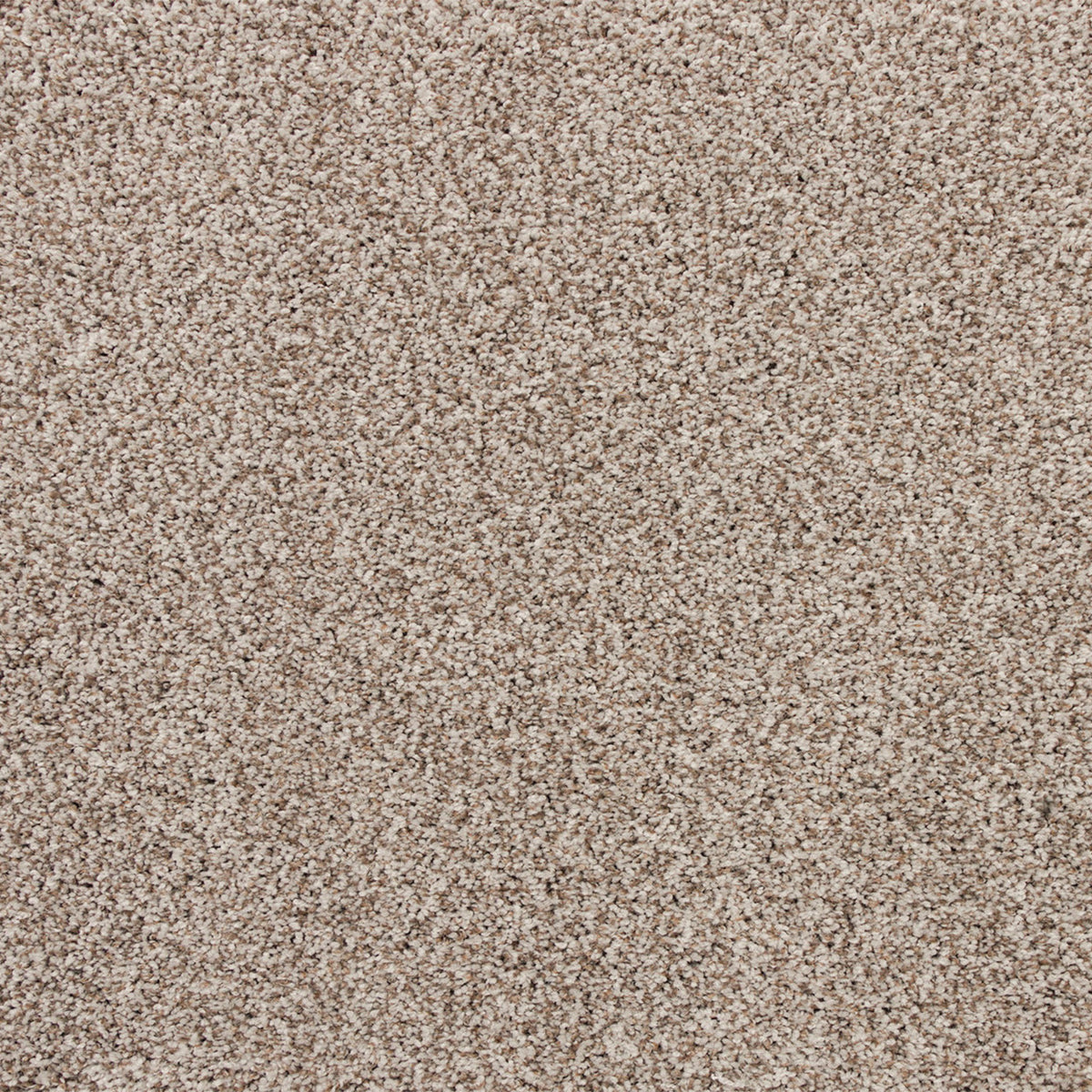 Apollo Bay SmartStrand Carpet - Ghooley