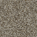 Celestia EverLux Nylon Carpet - Steeple
