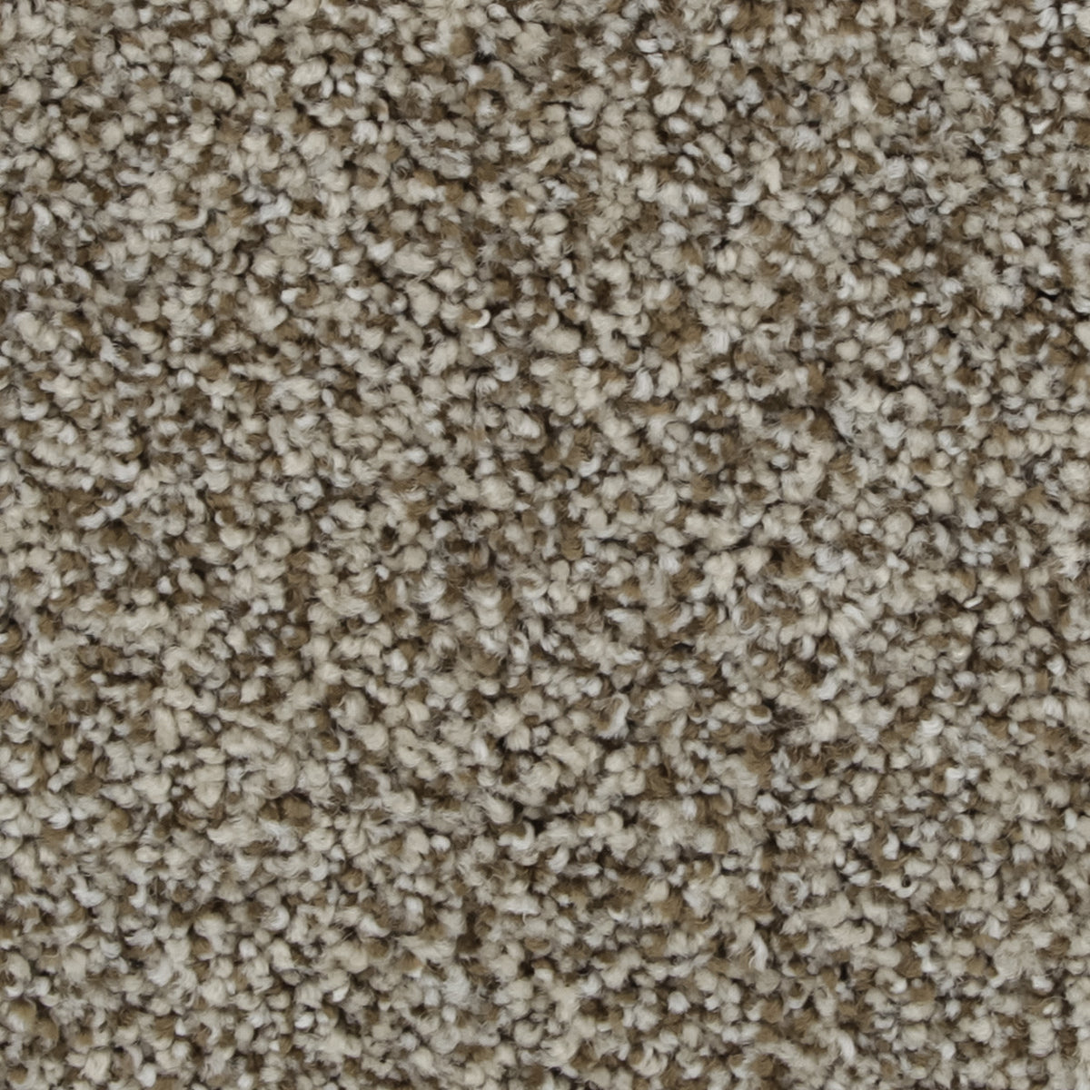 Celestia EverLux Nylon Carpet - Steeple
