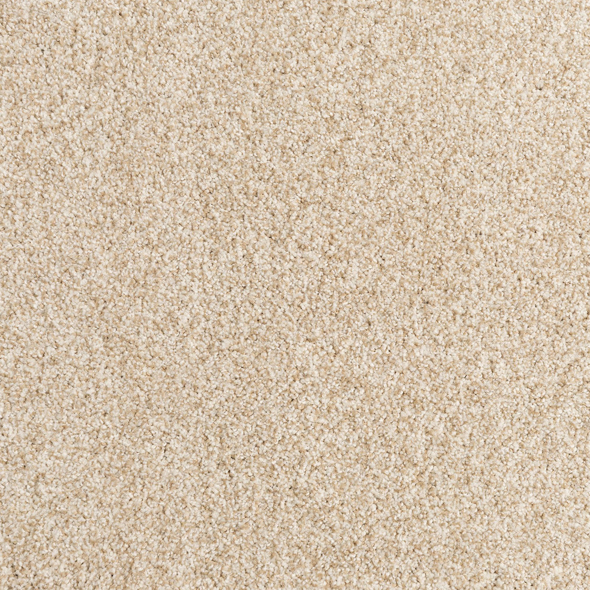 Cosmic EverLux Nylon Carpet - Vortex
