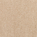 Apollo Bay SmartStrand Carpet - Fisk