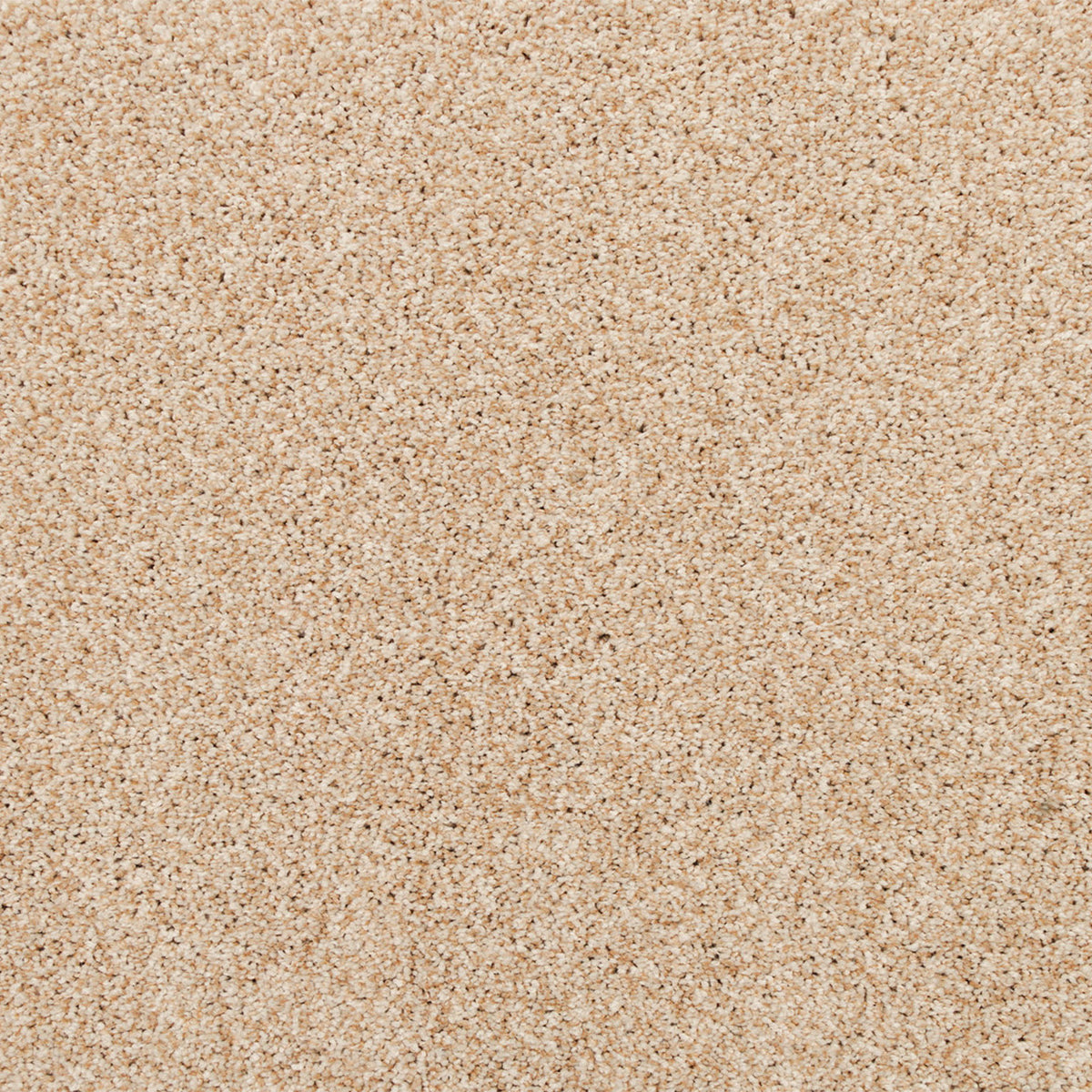 Apollo Bay SmartStrand Carpet - Fisk