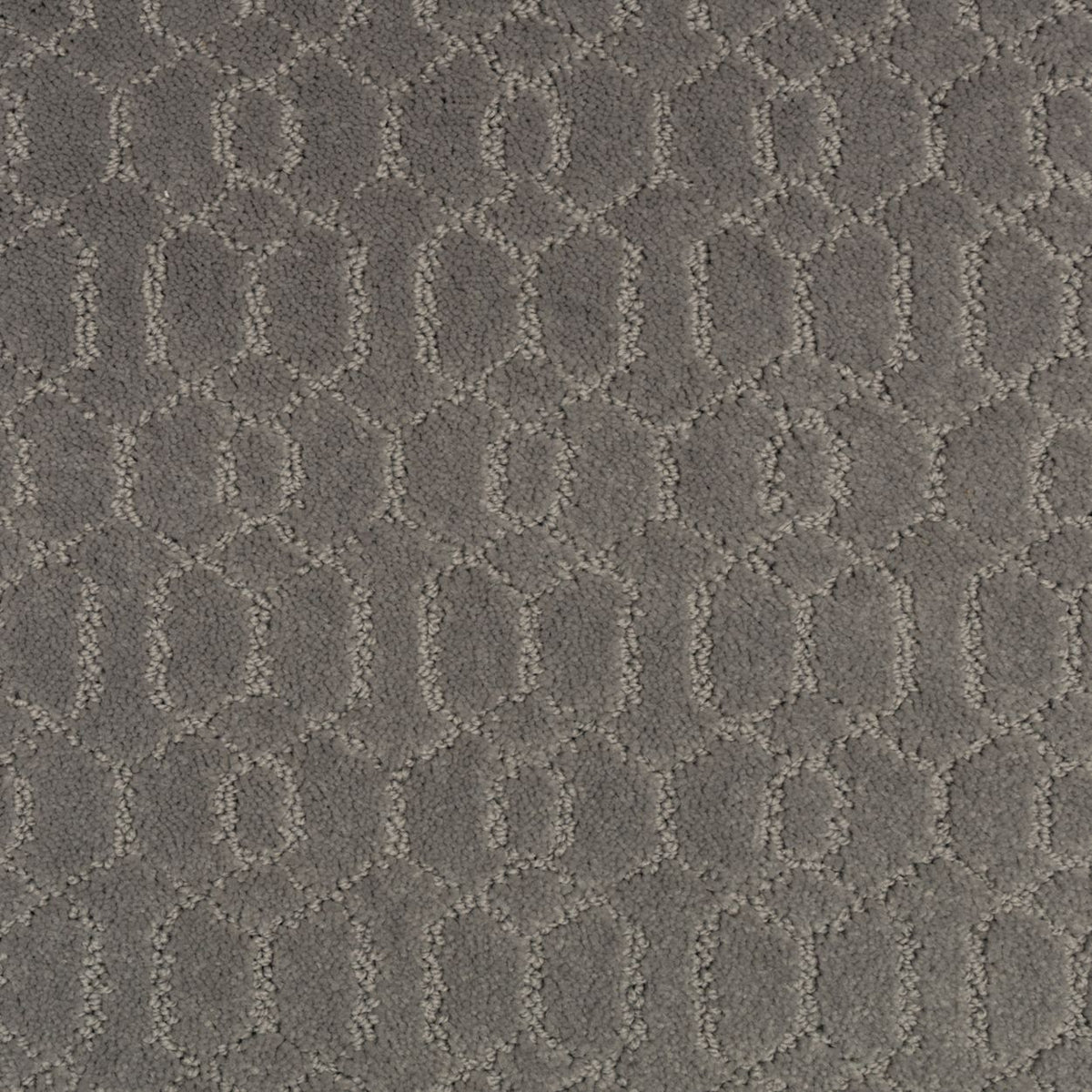 Delicate Tracery SmartStrand Carpet - Northwind