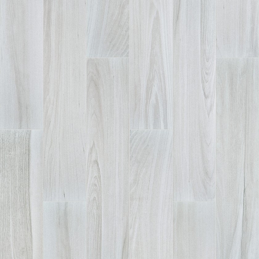 STUDIO 8X40