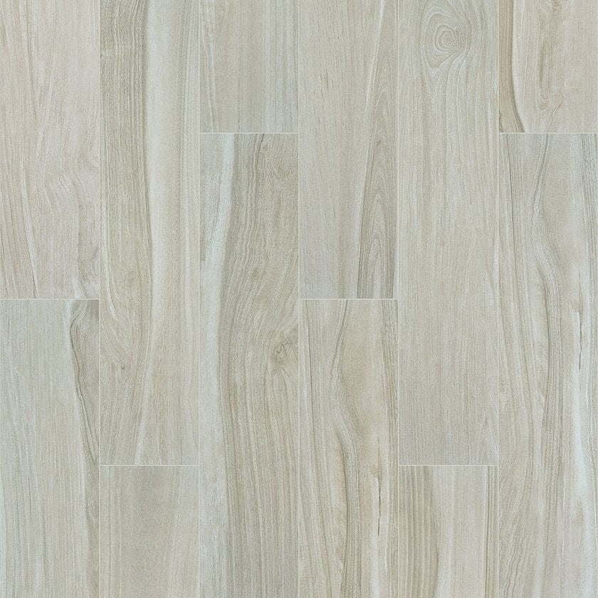 STUDIO 8X40