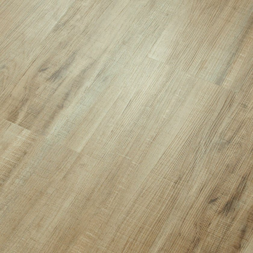ANVIL PLUS