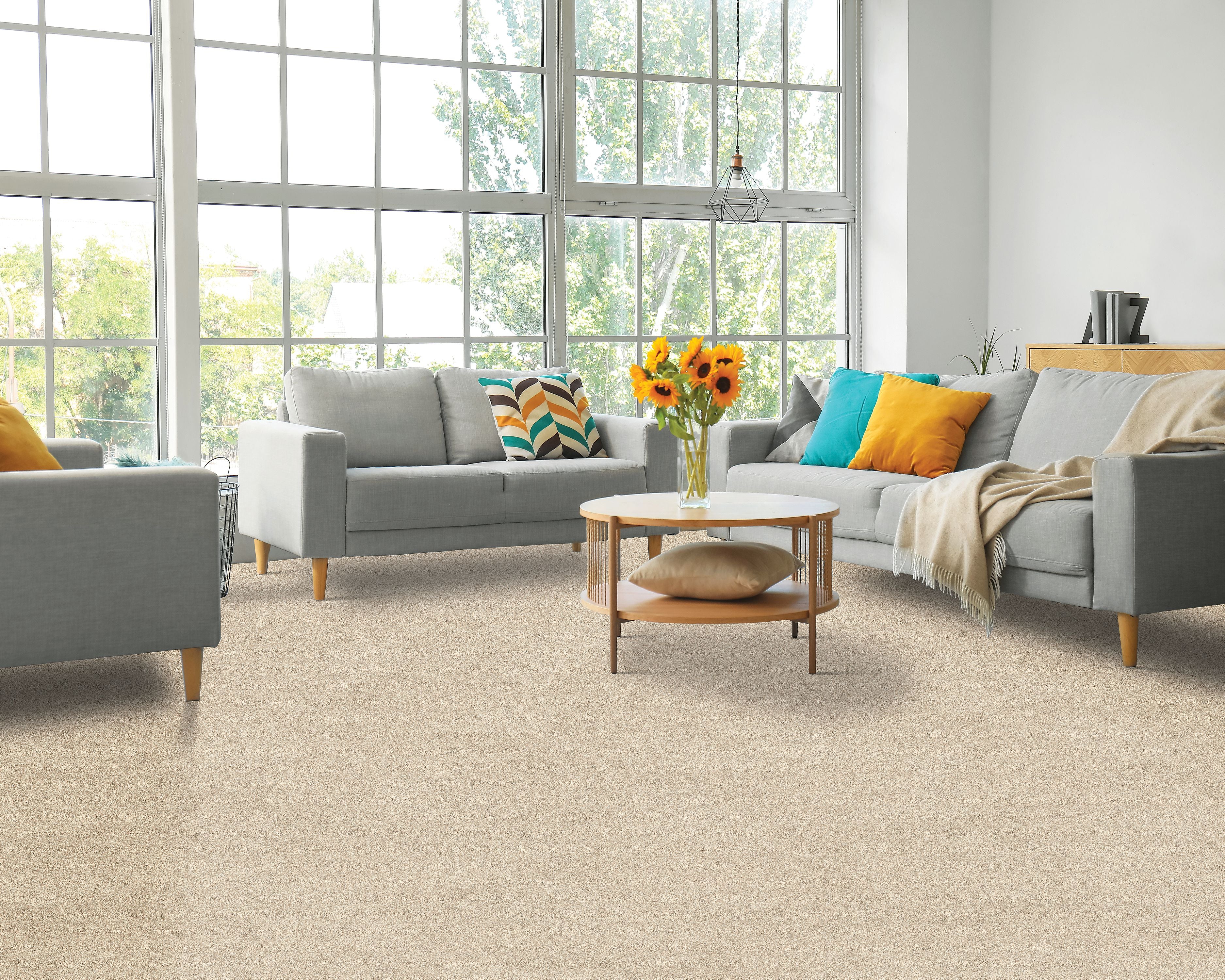 PetPremier|Paw Pathway