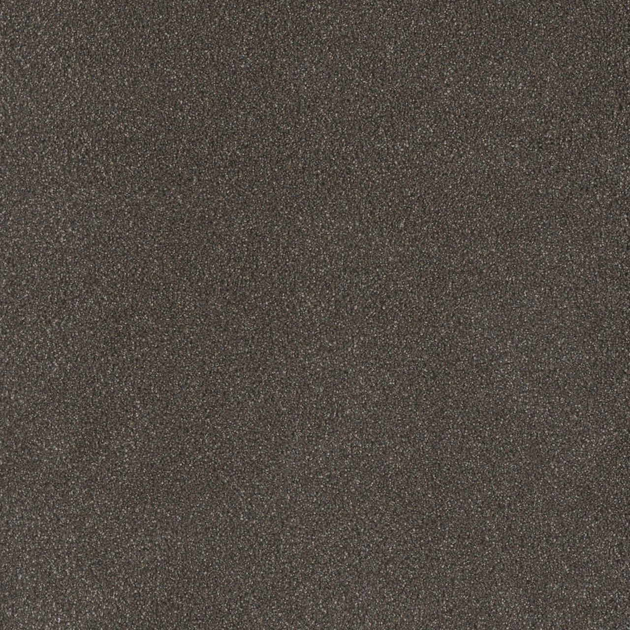 PALMETTO I