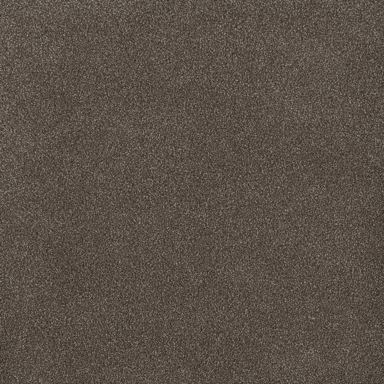 PALMETTO I