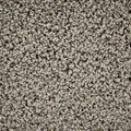 Alnwick Castle SLC50 - 12 ft Broadloom