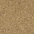 SmartStrand Silk|Gentle Approach  Add to Favorites