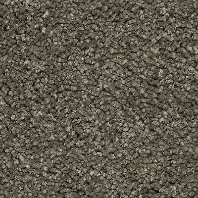 SmartStrand Silk|Gentle Approach  Add to Favorites
