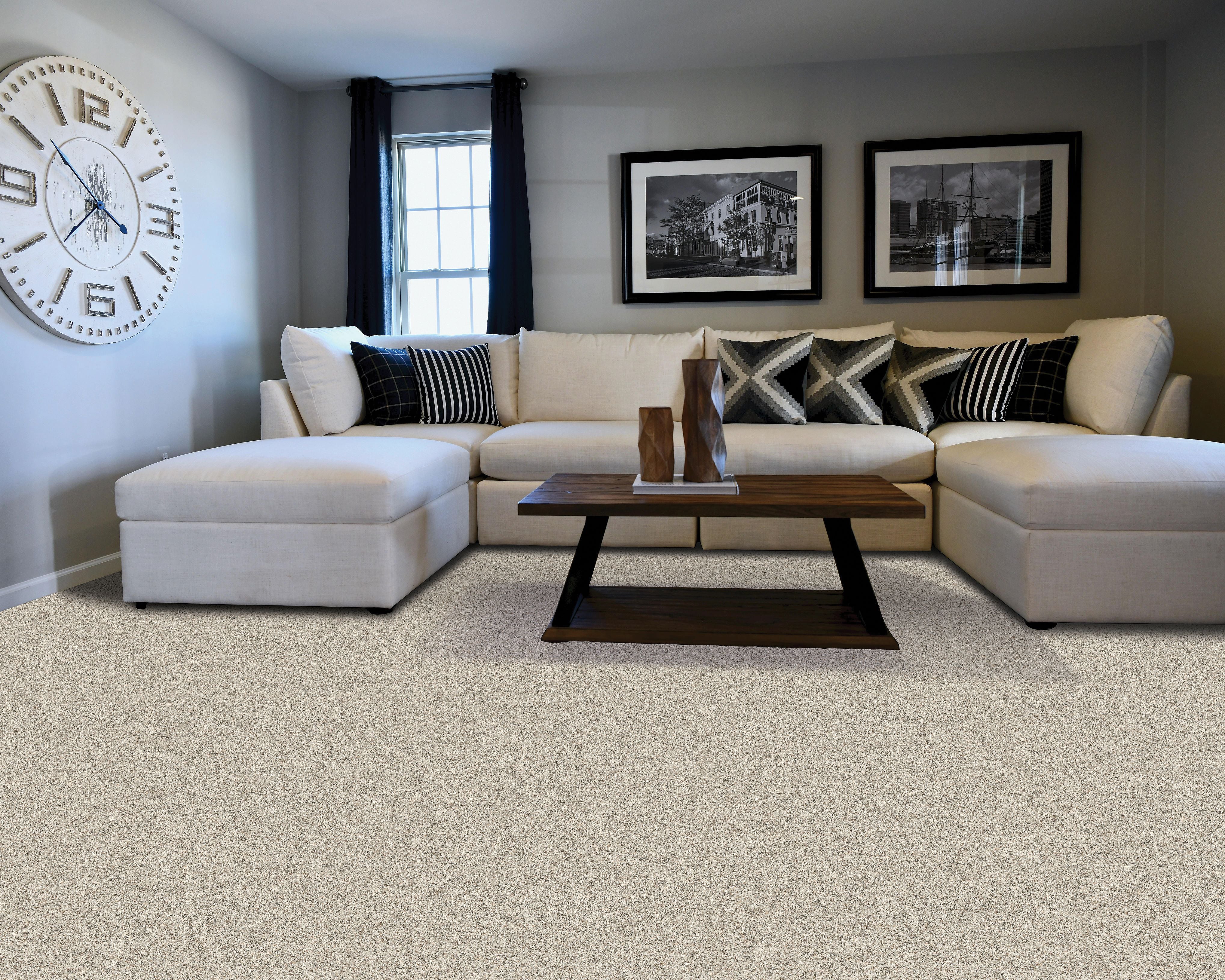 PetPremier|Diffurent Choice III