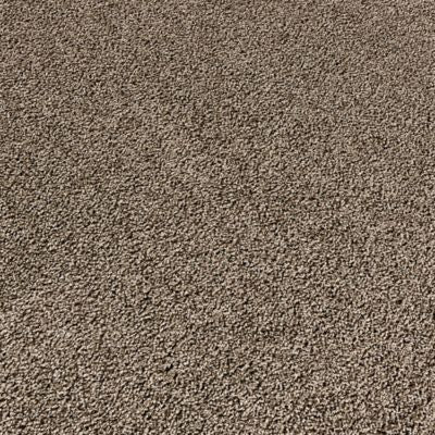 PetPremier|Purrsonality II  Add to Favorites