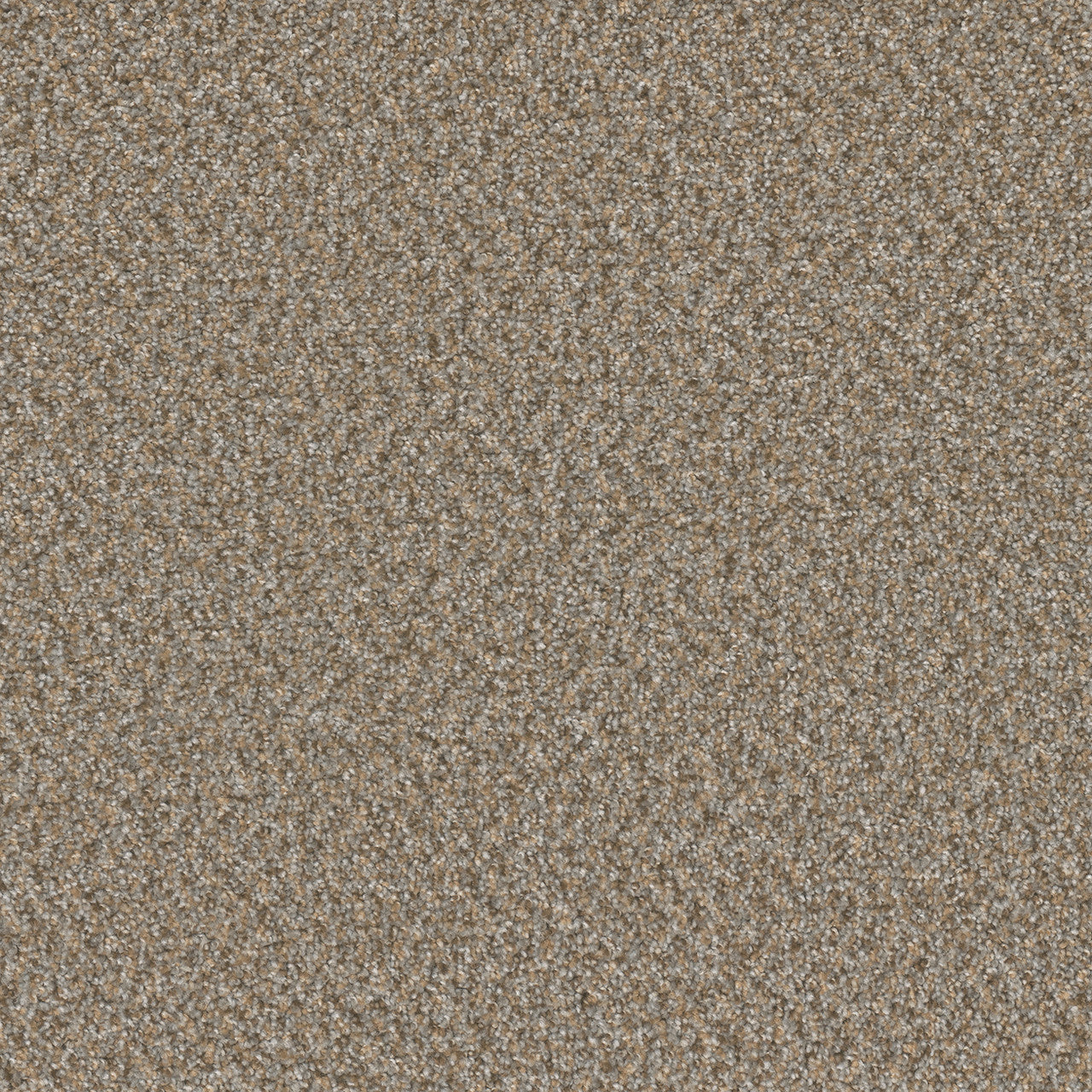 BROADCAST PLUS