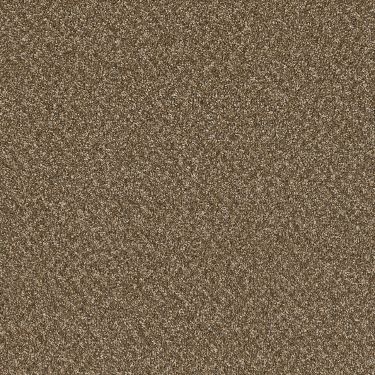 BROADCAST PLUS