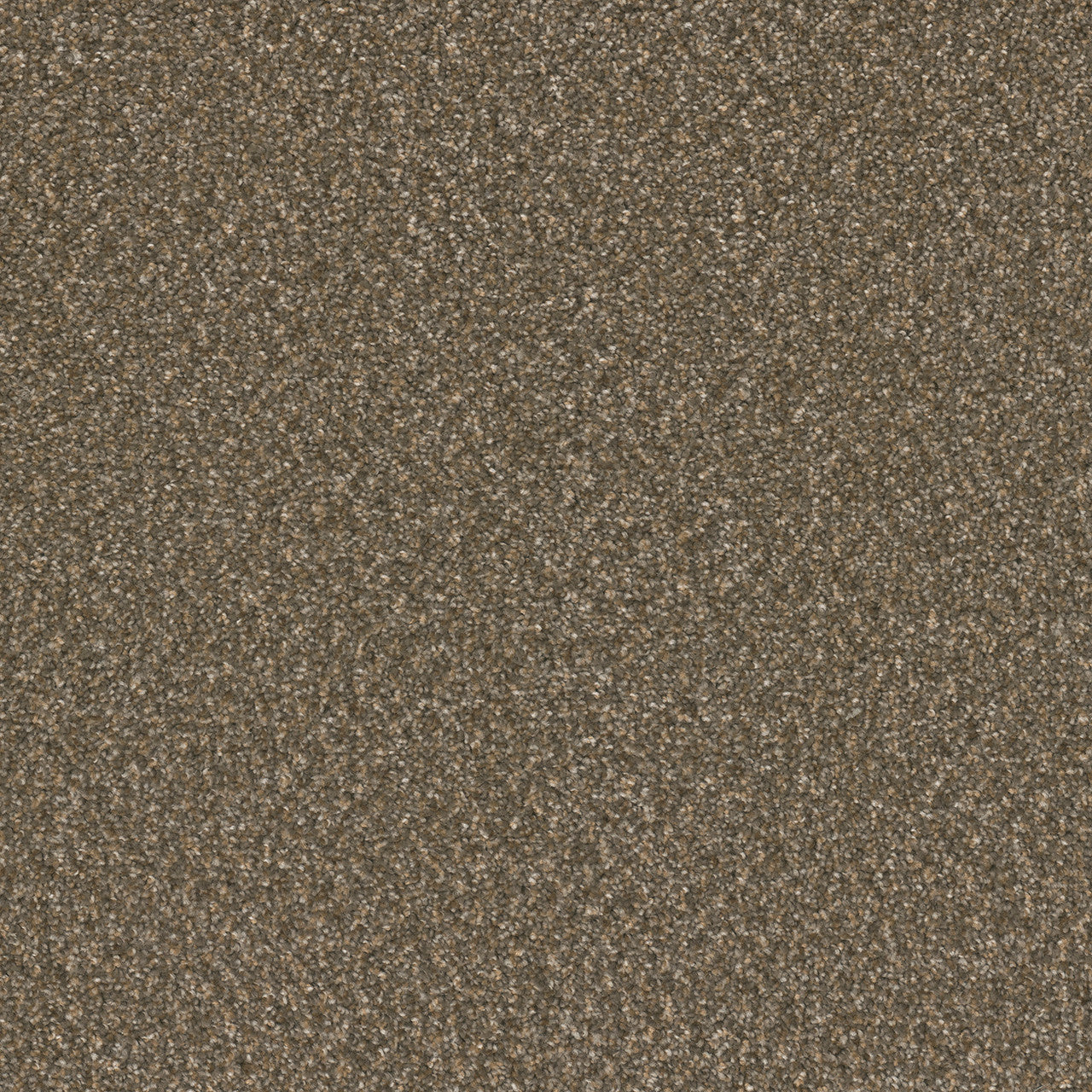 BROADCAST PLUS