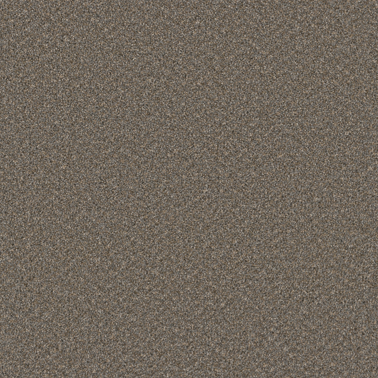 BROADCAST PLUS