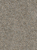 CONFETTI II