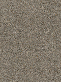CONFETTI I