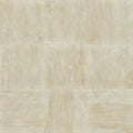 TRACE 24X24 POLISH